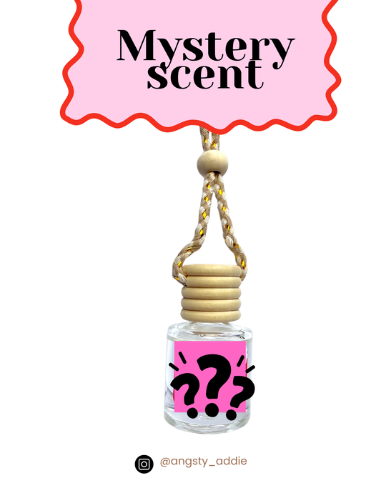 Mystery Scent Car Diffuser