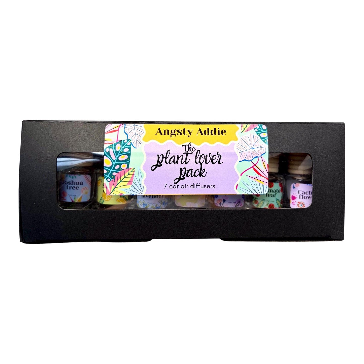 Plant lover gift box, plant lover gift idea, hanging car diffuser