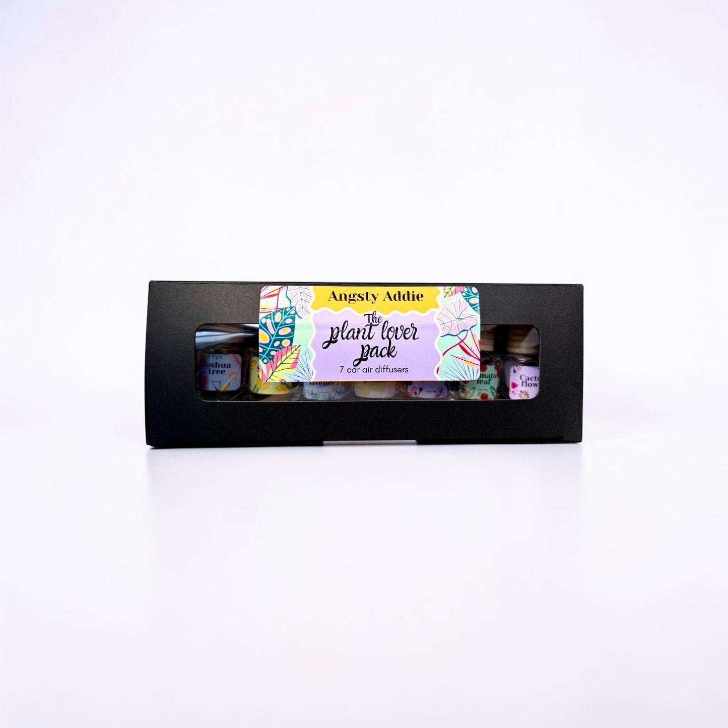 Plant lover gift box, plant lover gift idea, hanging car diffuser