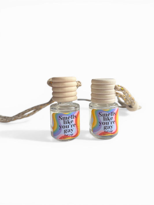 Funny car air freshener, Scented car diffuser, hanging air freshener, pride gift